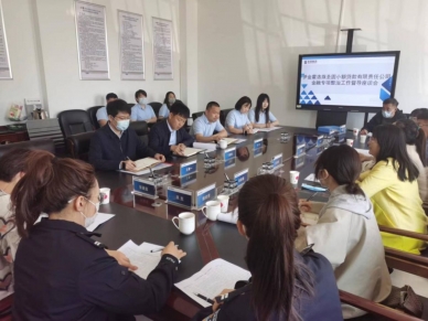 伊金霍洛旗EVO视讯官网小额贷款有限责任公司开展金融专项整治事情督导座谈会