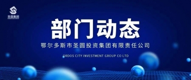增强审计相同 提升审计质效