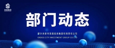 强化审计监视 增进治理提升