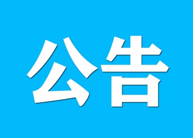 鄂尔多斯市金财资产治理有限责任公司资产处置惩罚通告