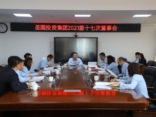 2021年第十七次董事会