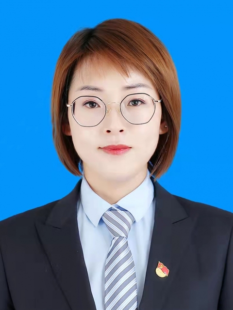 陆佳 董事长